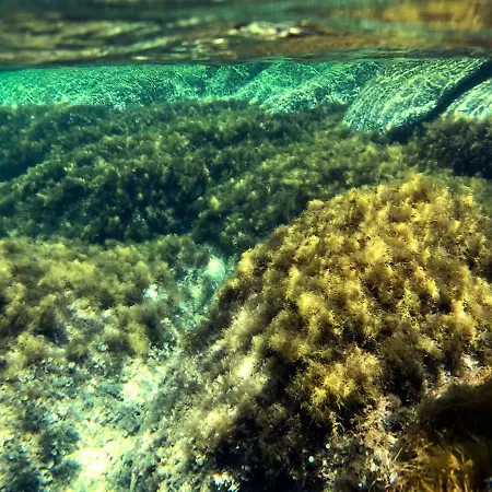 Cala Caterina ベッド・アンド・ブレックファスト 4*