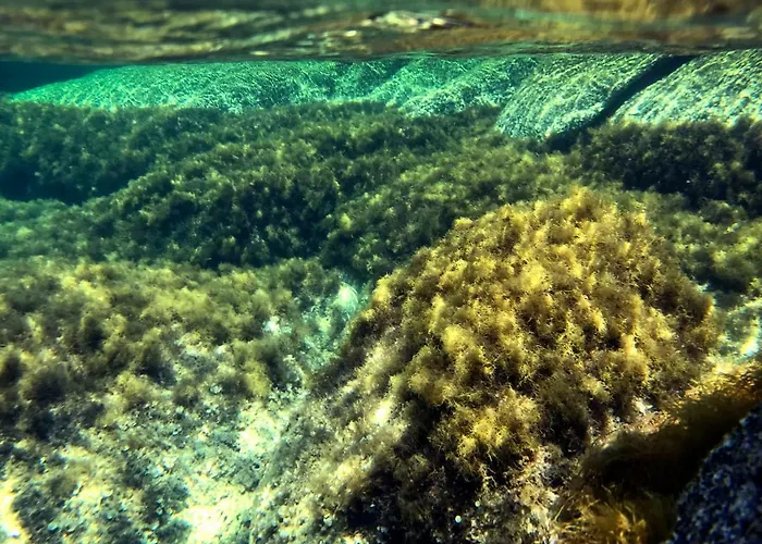 Cala Caterina Panzió 4*